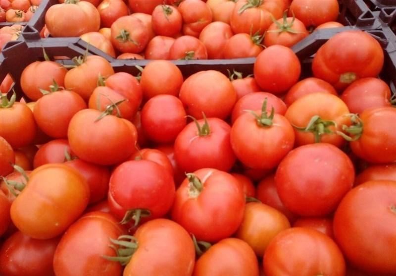 رسم عجیب جنگ برای غذا رسم عجیب جنگ برای غذا
